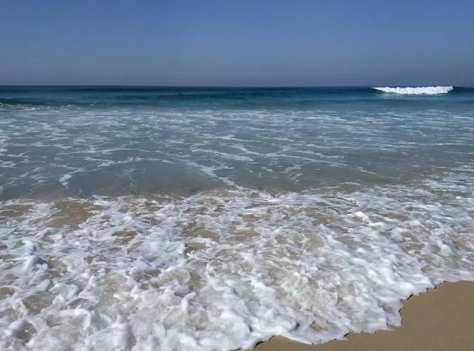 Mar Adriatico Tarifa